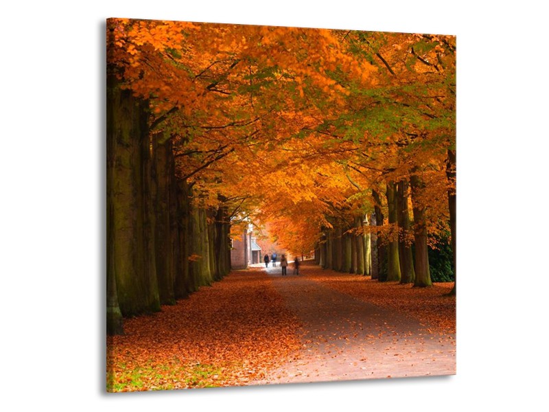 Canvas schilderij Herfst | Bruin, Oranje, Groen | 70x70cm 1Luik