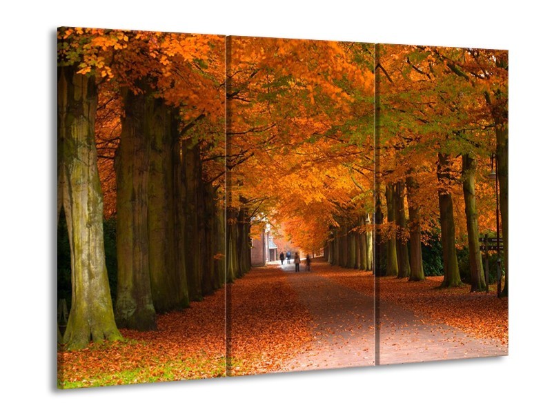 Glas schilderij Herfst | Bruin, Oranje, Groen | 90x60cm 3Luik