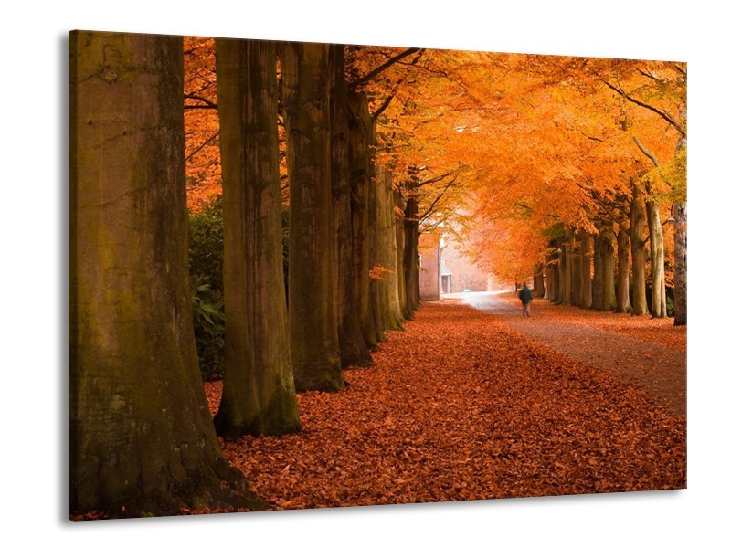 Canvas schilderij Herfst | Oranje, Bruin, Groen | 100x70cm 1Luik
