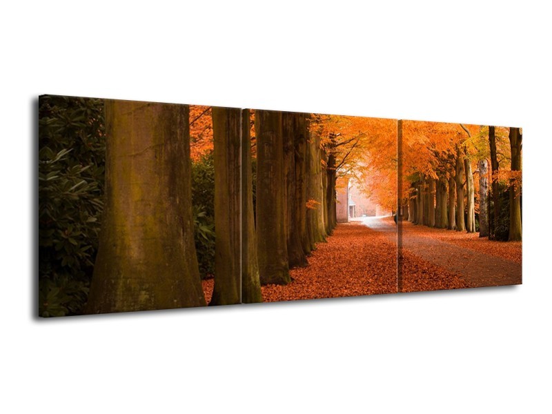 Glas schilderij Herfst | Oranje, Bruin, Groen | 120x40cm 3Luik