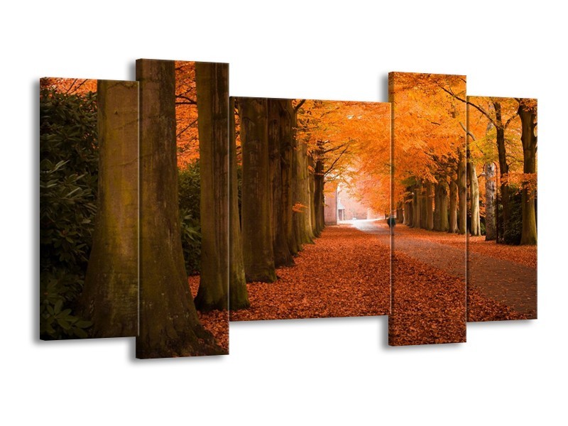 Glas schilderij Herfst | Oranje, Bruin, Groen | 120x65cm 5Luik