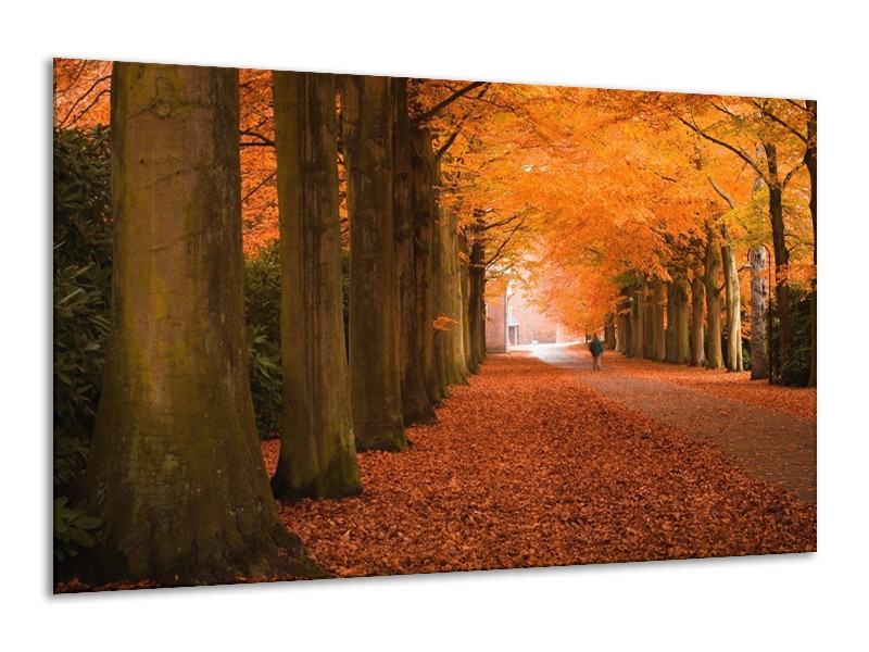Canvas schilderij Herfst | Oranje, Bruin, Groen | 120x70cm 1Luik