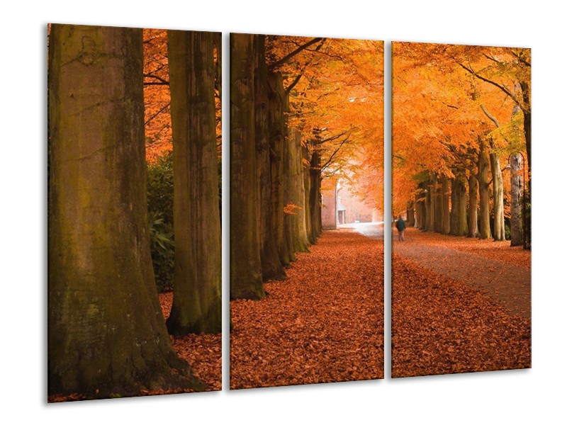 Canvas schilderij Herfst | Oranje, Bruin, Groen | 120x80cm 3Luik