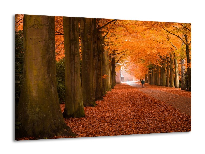 Canvas schilderij Herfst | Oranje, Bruin, Groen | 140x90cm 1Luik