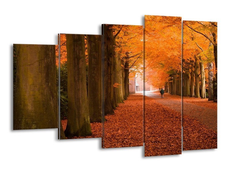 Glas schilderij Herfst | Oranje, Bruin, Groen | 150x100cm 5Luik