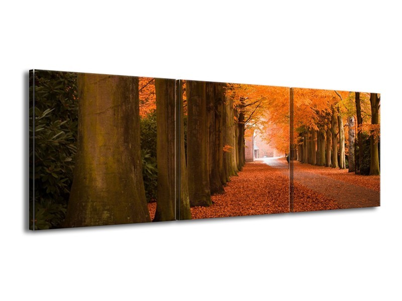 Canvas schilderij Herfst | Oranje, Bruin, Groen | 150x50cm 3Luik