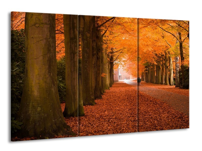 Glas schilderij Herfst | Oranje, Bruin, Groen | 165x100cm 3Luik
