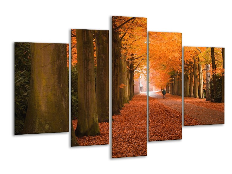 Canvas schilderij Herfst | Oranje, Bruin, Groen | 170x100cm 5Luik