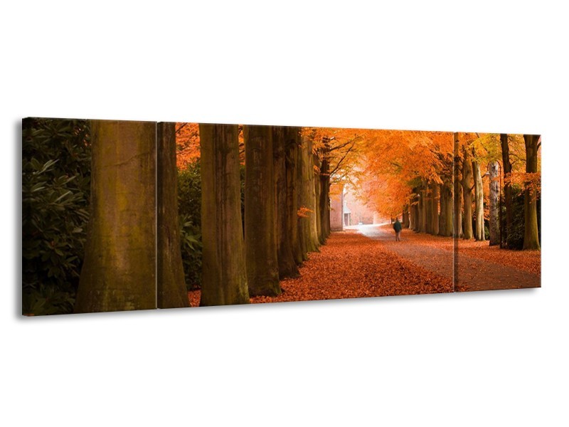 Glas schilderij Herfst | Oranje, Bruin, Groen | 170x50cm 3Luik
