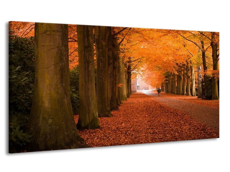 Canvas schilderij Herfst | Oranje, Bruin, Groen | 170x90cm 1Luik