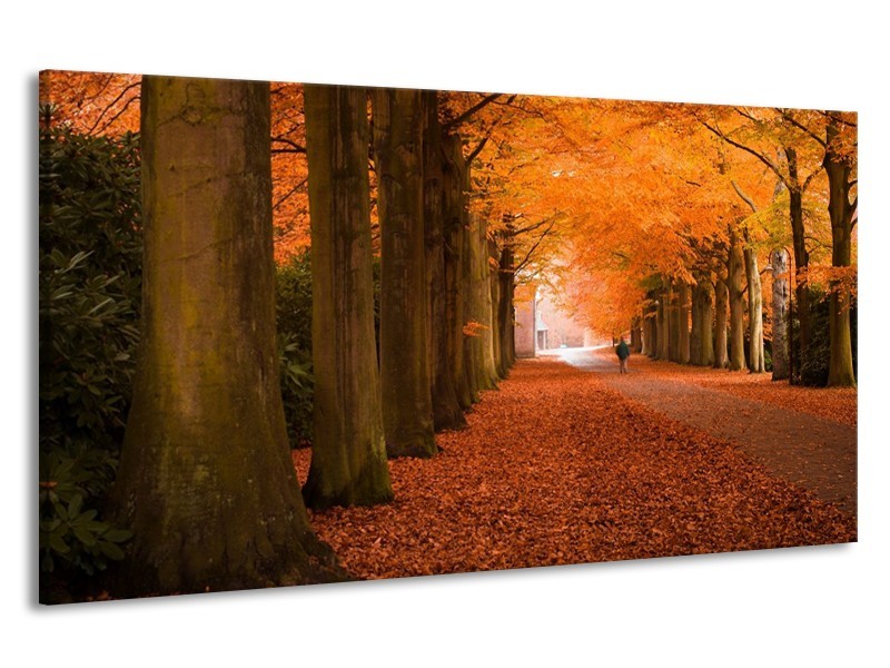 Canvas schilderij Herfst | Oranje, Bruin, Groen | 190x100cm 1Luik