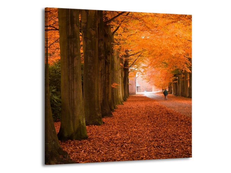 Glas schilderij Herfst | Oranje, Bruin, Groen | 50x50cm 1Luik