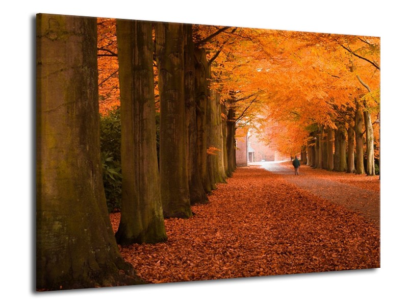 Canvas schilderij Herfst | Oranje, Bruin, Groen | 70x50cm 1Luik