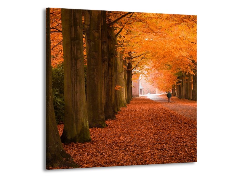 Glas schilderij Herfst | Oranje, Bruin, Groen | 70x70cm 1Luik
