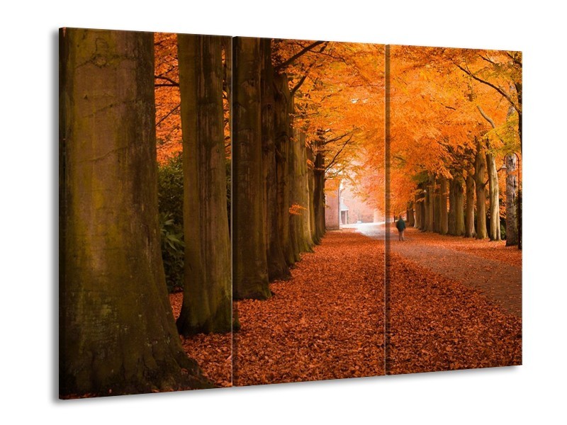 Glas schilderij Herfst | Oranje, Bruin, Groen | 90x60cm 3Luik