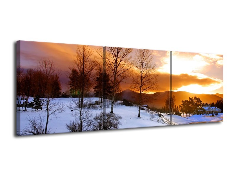 Canvas schilderij Winter | Wit, Bruin, Oranje | 120x40cm 3Luik