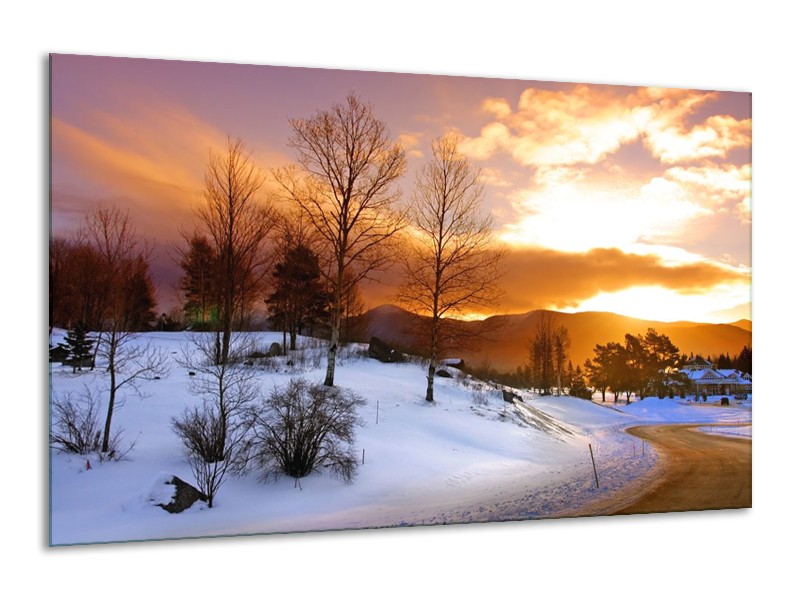 Glas schilderij Winter | Wit, Bruin, Oranje | 120x70cm 1Luik