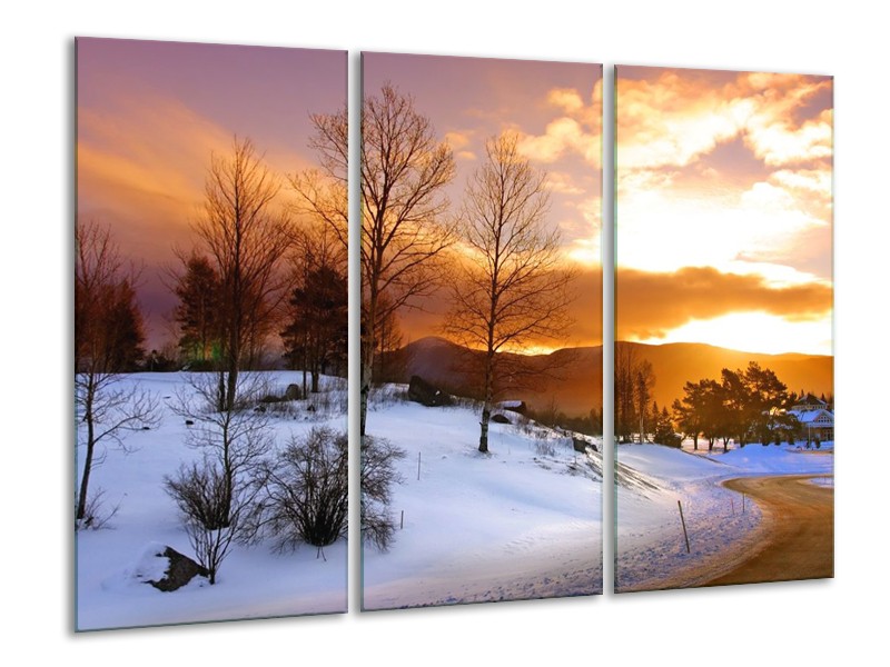 Canvas schilderij Winter | Wit, Bruin, Oranje | 120x80cm 3Luik