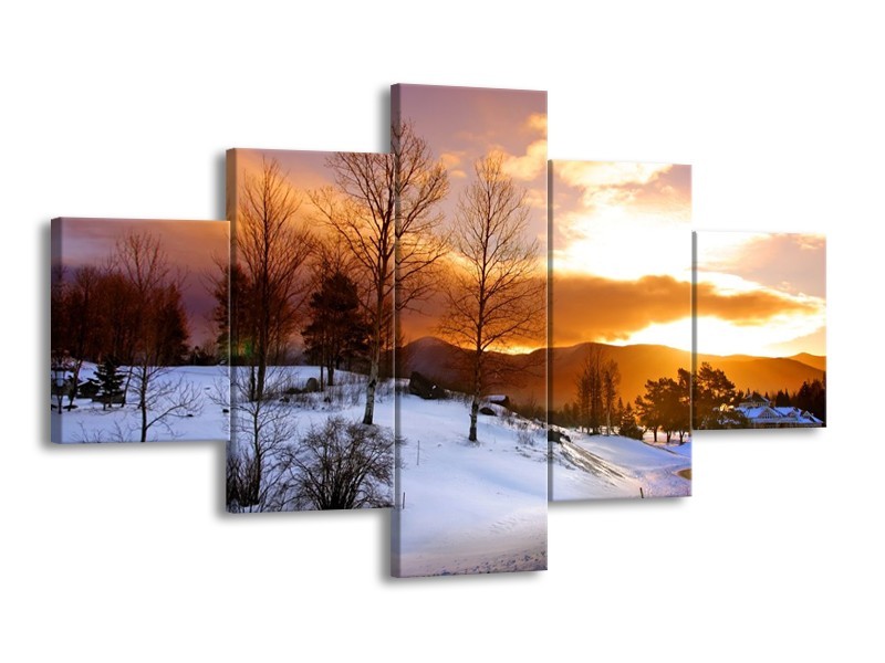 Glas schilderij Winter | Wit, Bruin, Oranje | 125x70cm 5Luik