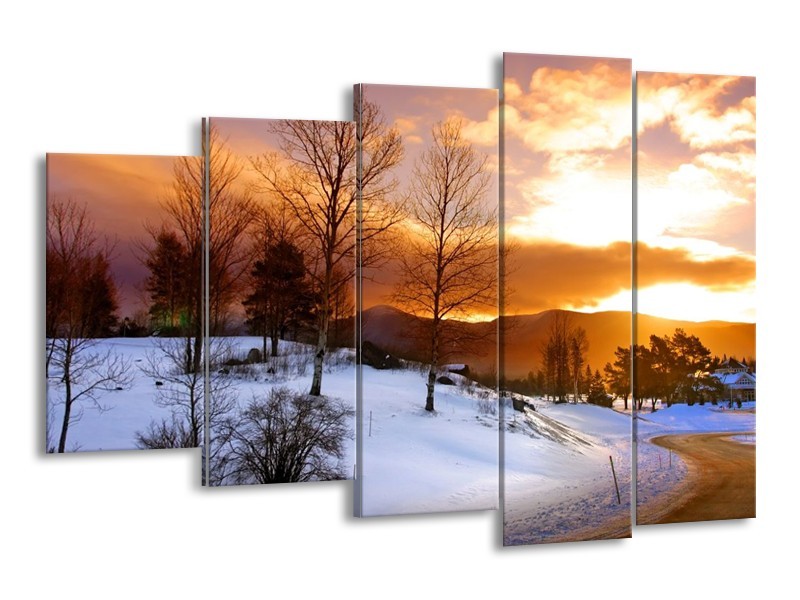 Glas schilderij Winter | Wit, Bruin, Oranje | 150x100cm 5Luik
