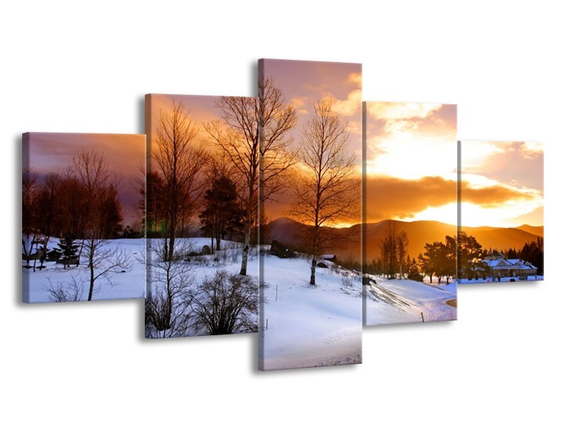 Canvas schilderij Winter | Wit, Bruin, Oranje | 150x80cm 5Luik