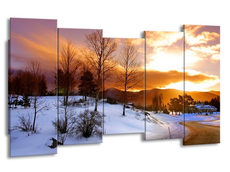 Canvas schilderij Winter | Wit, Bruin, Oranje | 150x80cm 5Luik
