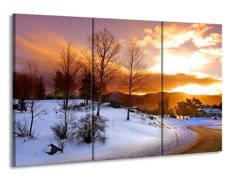 Canvas schilderij Winter | Wit, Bruin, Oranje | 165x100cm 3Luik