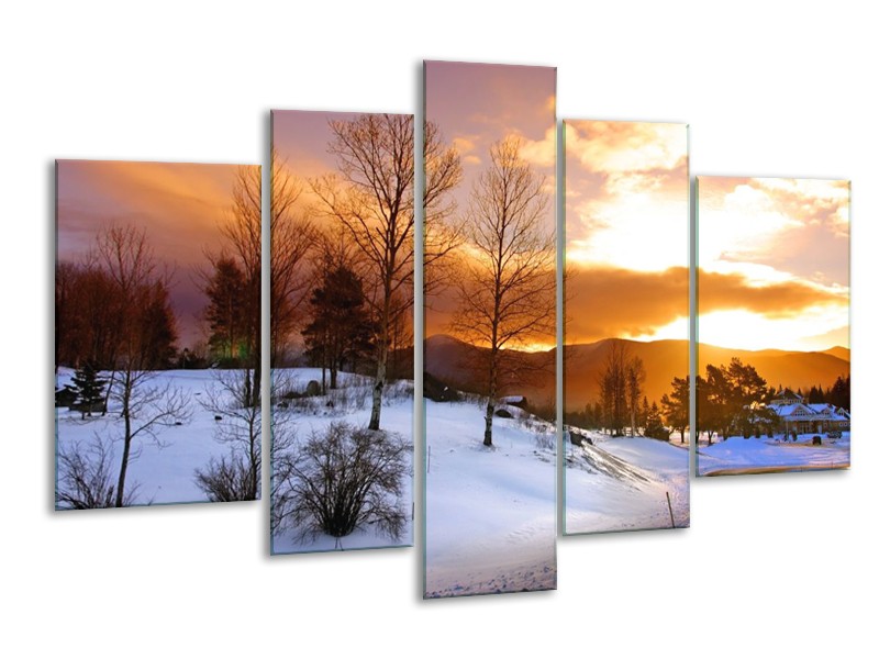 Canvas schilderij Winter | Wit, Bruin, Oranje | 170x100cm 5Luik