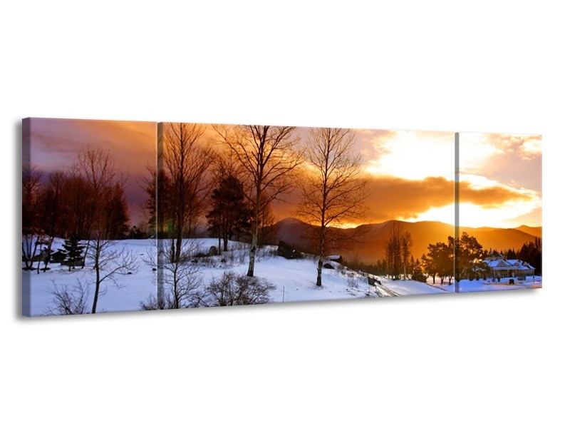 Canvas schilderij Winter | Wit, Bruin, Oranje | 170x50cm 3Luik