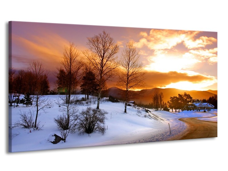 Canvas schilderij Winter | Wit, Bruin, Oranje | 170x90cm 1Luik