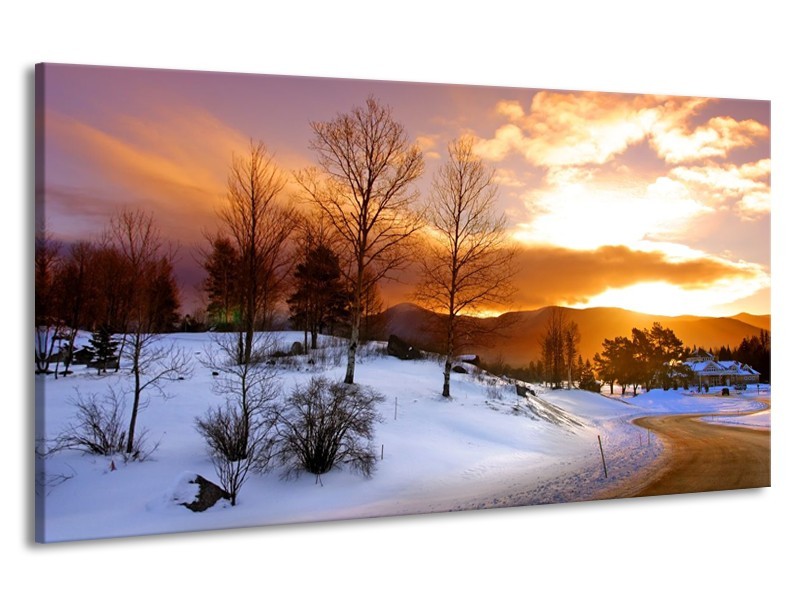 Canvas schilderij Winter | Wit, Bruin, Oranje | 190x100cm 1Luik