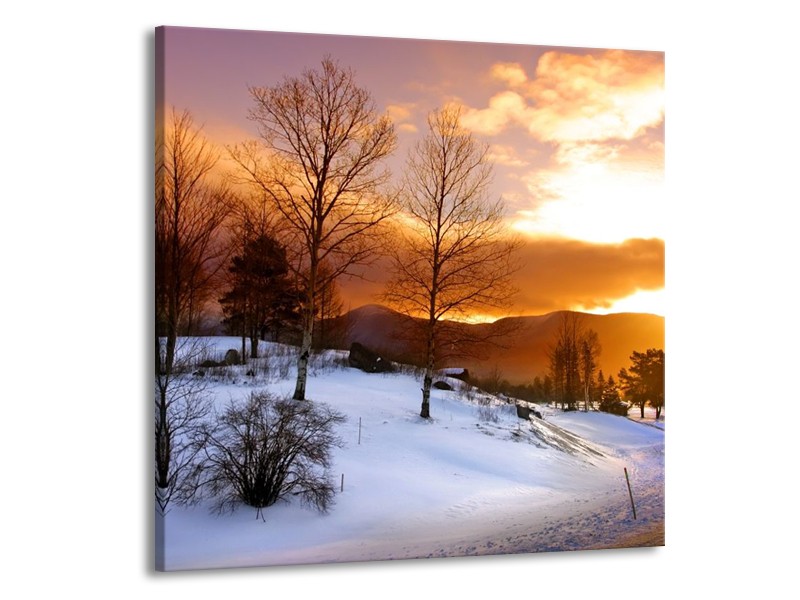 Canvas schilderij Winter | Wit, Bruin, Oranje | 50x50cm 1Luik