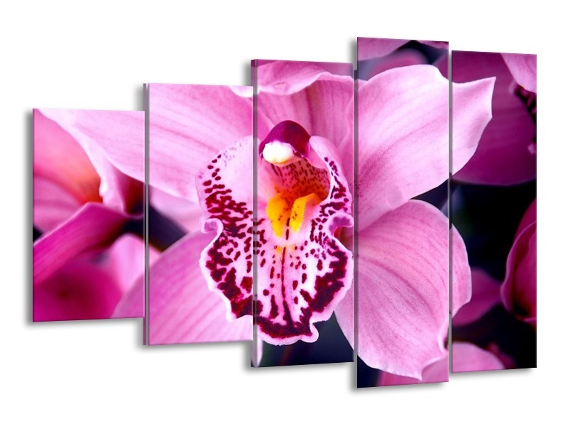 Canvas schilderij Orchidee | Paars, Rood, Wit | 150x100cm 5Luik