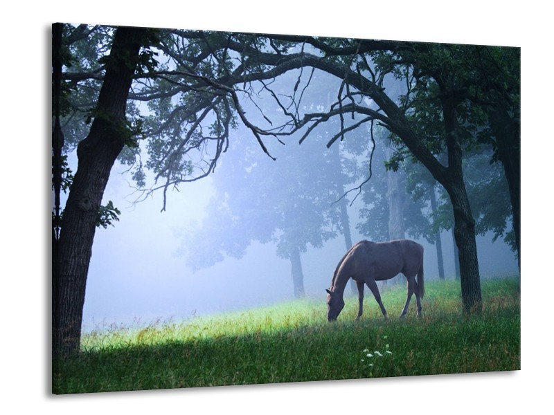 Canvas schilderij Paard | Grijs, Groen, Zwart | 100x70cm 1Luik