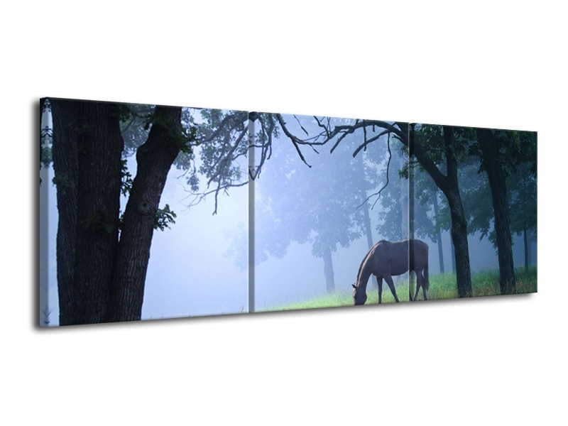 Glas schilderij Paard | Grijs, Groen, Zwart | 120x40cm 3Luik