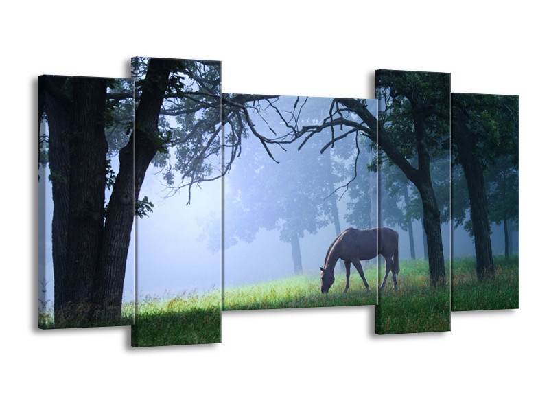 Canvas schilderij Paard | Grijs, Groen, Zwart | 120x65 5Luik