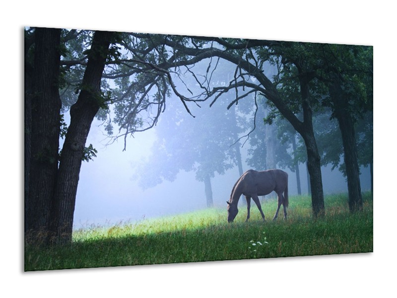 Glas schilderij Paard | Grijs, Groen, Zwart | 120x70cm 1Luik
