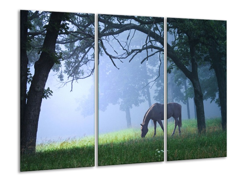 Canvas schilderij Paard | Grijs, Groen, Zwart | 120x80cm 3Luik