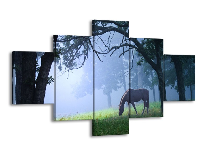 Canvas schilderij Paard | Grijs, Groen, Zwart | 125x70cm 5Luik