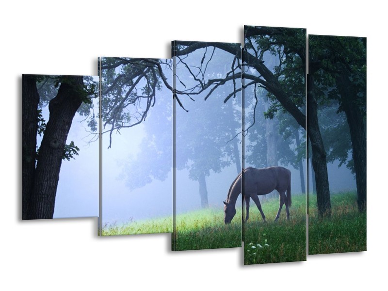 Canvas schilderij Paard | Grijs, Groen, Zwart | 150x100cm 5Luik