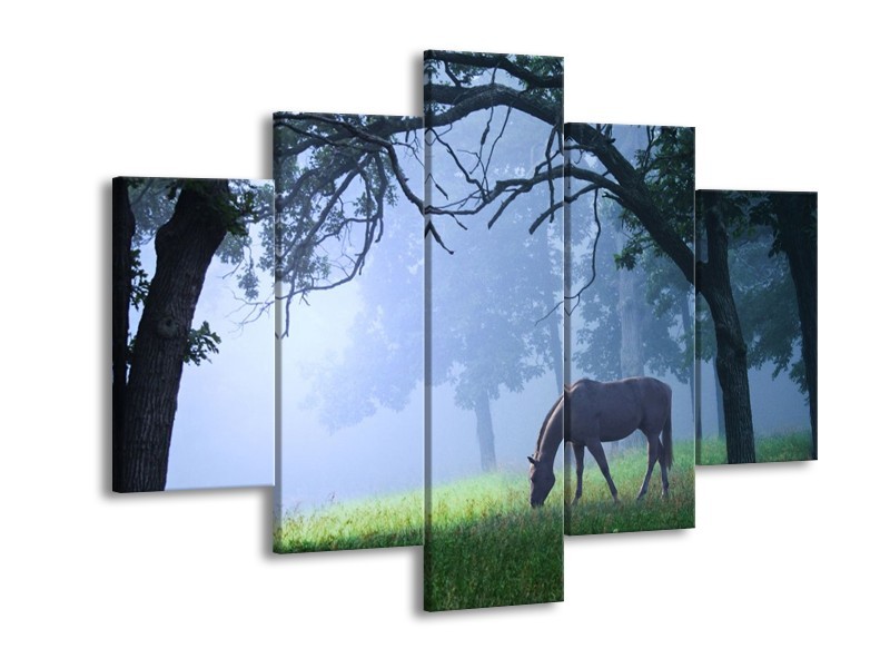 Glas schilderij Paard | Grijs, Groen, Zwart | 150x105cm 5Luik