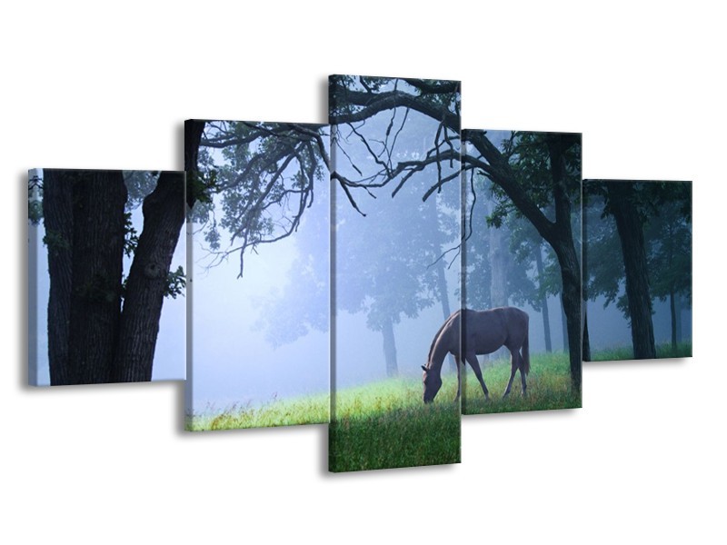 Canvas schilderij Paard | Grijs, Groen, Zwart | 150x80cm 5Luik