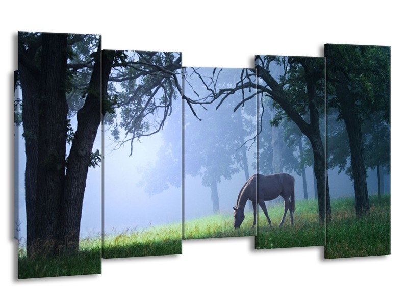 Glas schilderij Paard | Grijs, Groen, Zwart | 150x80cm 5Luik