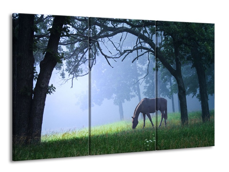 Glas schilderij Paard | Grijs, Groen, Zwart | 165x100cm 3Luik