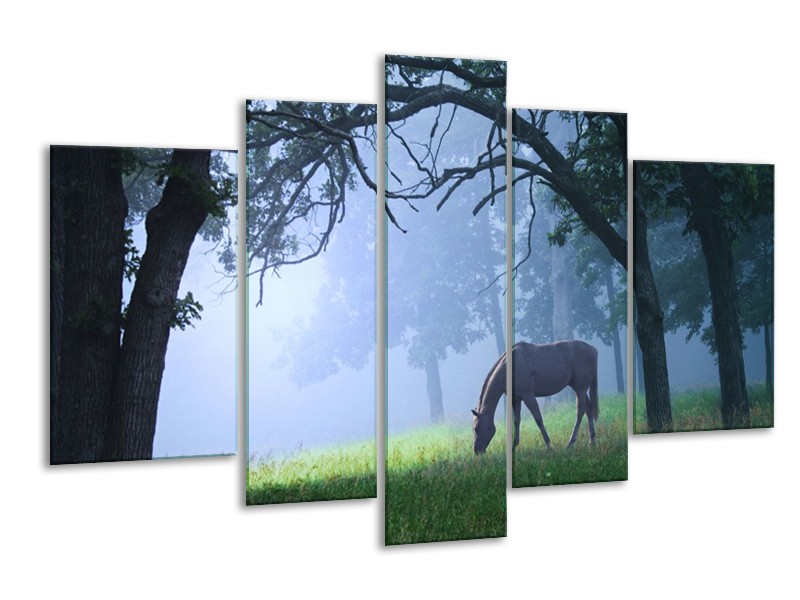 Canvas schilderij Paard | Grijs, Groen, Zwart | 170x100cm 5Luik