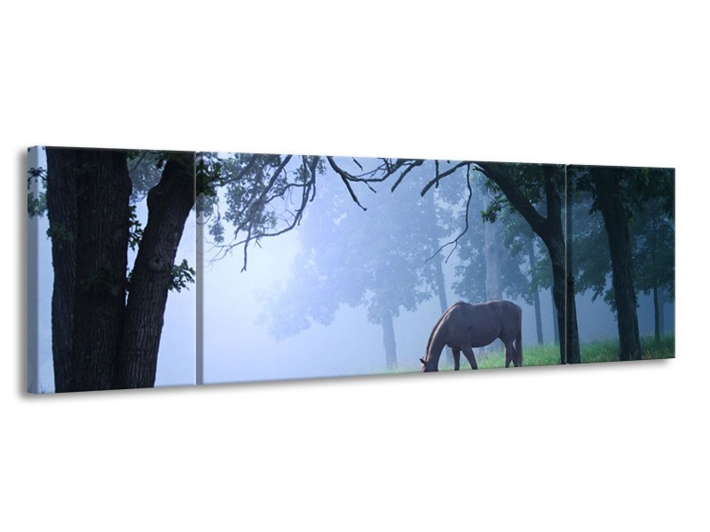 Canvas schilderij Paard | Grijs, Groen, Zwart | 170x50cm 3Luik