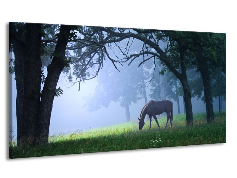 Canvas schilderij Paard | Grijs, Groen, Zwart | 170x90cm 1Luik