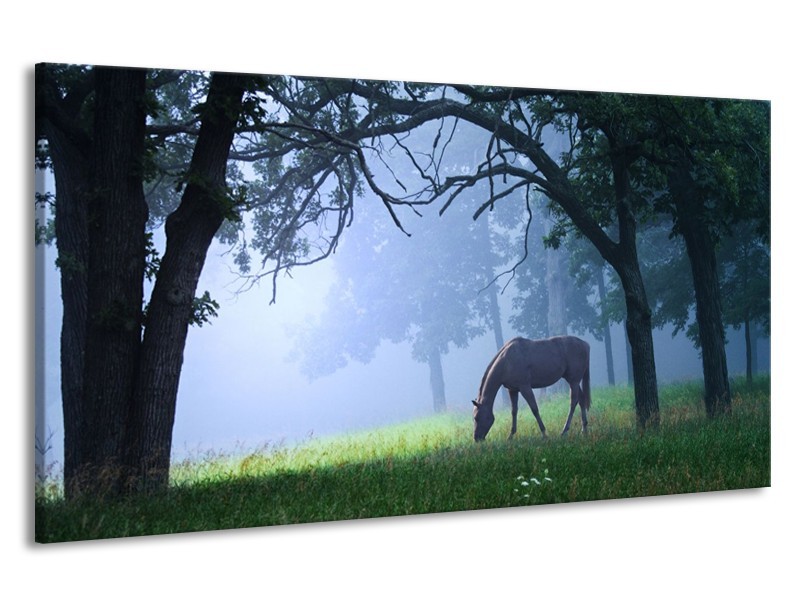 Canvas schilderij Paard | Grijs, Groen, Zwart | 190x100cm 1Luik