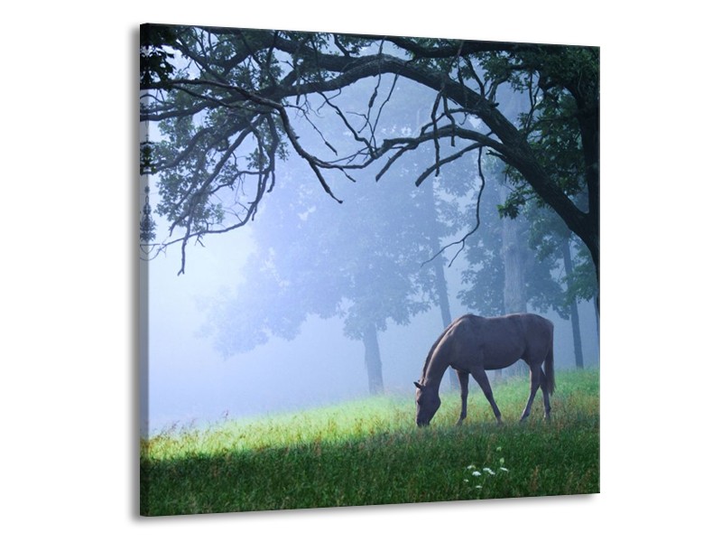 Canvas schilderij Paard | Grijs, Groen, Zwart | 50x50cm 1Luik