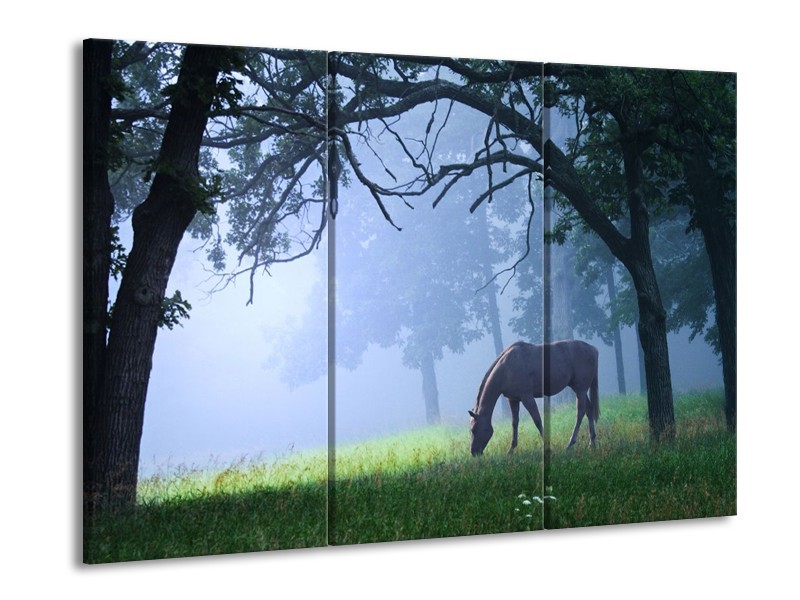 Canvas schilderij Paard | Grijs, Groen, Zwart | 90x60cm 3Luik